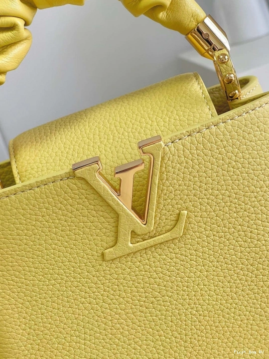 Firstbags ru review LOUIS CAPUCINES VUITTON MINI 0729